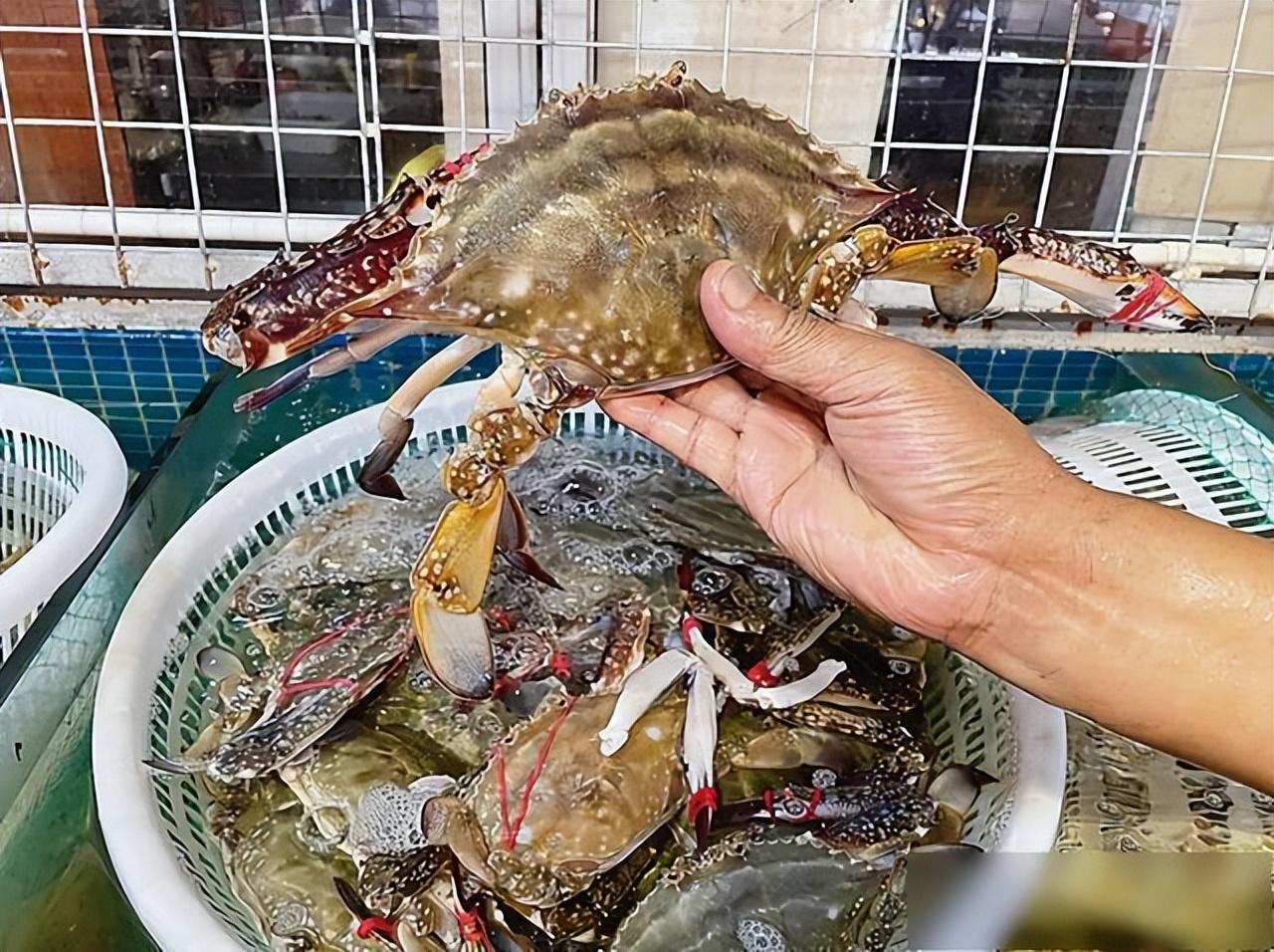 沧州潮汕美食有哪些_沧州美食潮汕有哪些_沧州的名吃